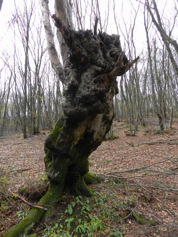 Tra una goccia e l''altra